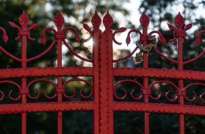 Panele ogrodzeniowe – każdy rodzaj ma zalety i wady